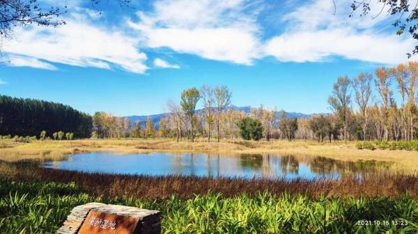 延慶再添“城市綠肺”~康西森林溼地公園“上線”