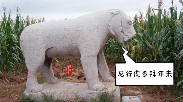 虎年看啥？文物中的虎元素來給您拜個年
