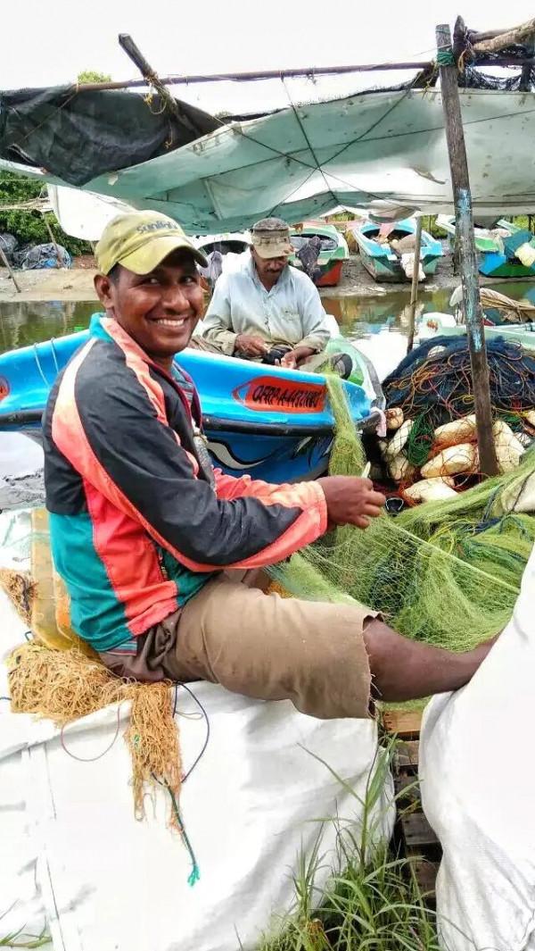 斯里蘭卡--回味無窮的青橄欖