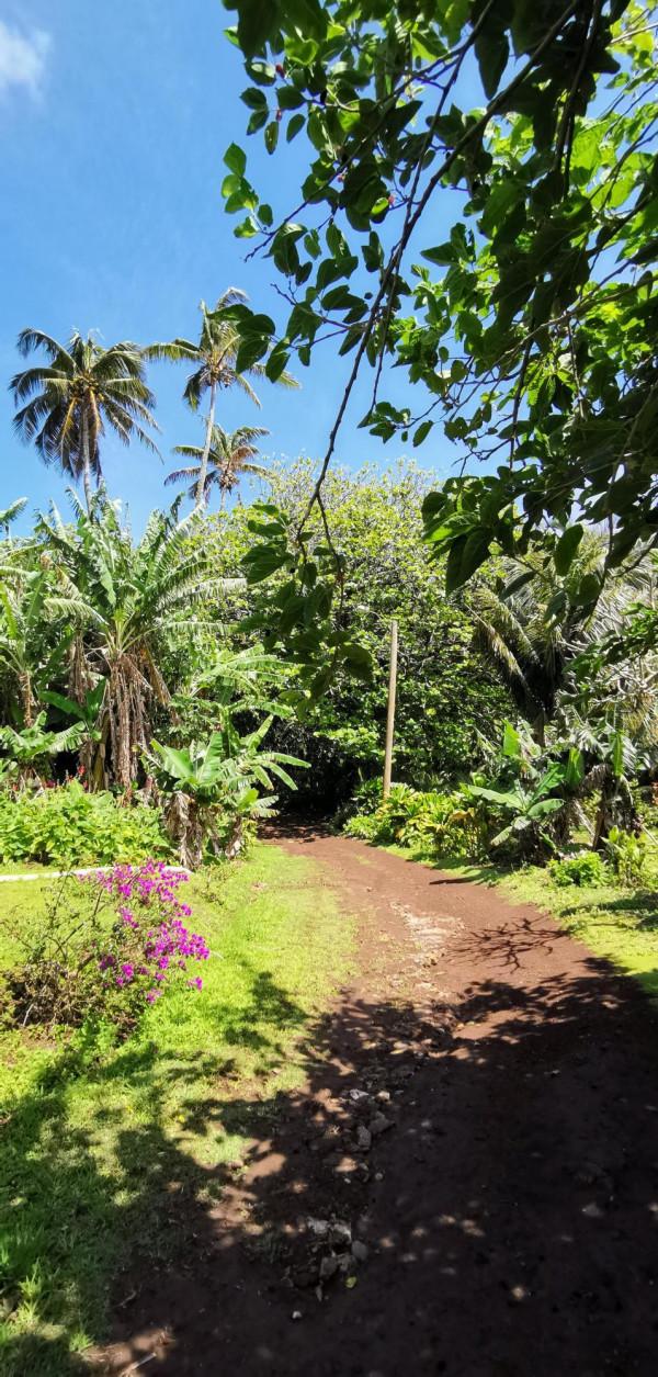 世界上最難到達的地區之一：南太平洋皮特凱恩島遊記（上）