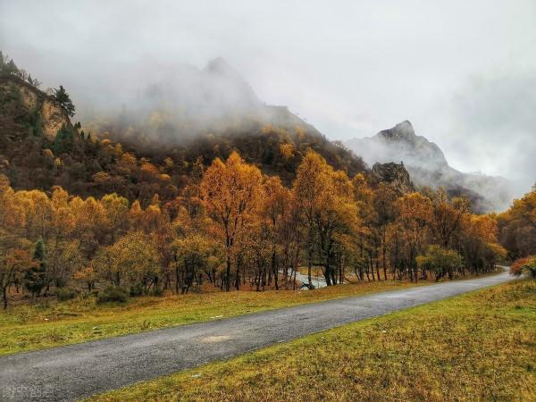 這樣的秋天你見過嗎？