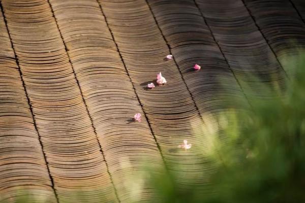 30款中式庭院鋪裝樣式，造園時有大用