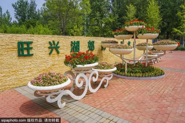 野趣十足!抓住假期尾巴!來家門口這些郊野公園溜達 野趣十足!抓住假期尾巴!來家門口這些郊野公園溜達