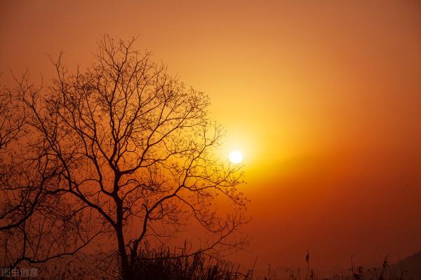 “有理的”不一定是好詩,“無理的”未必不是好詩 “有理的”不一定是好詩,“無理的”未必不是好詩