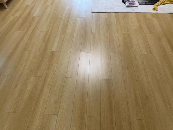 洗地機添可芙萬2.0LCD款入手感受 洗地機添可芙萬2.0LCD款入手感受