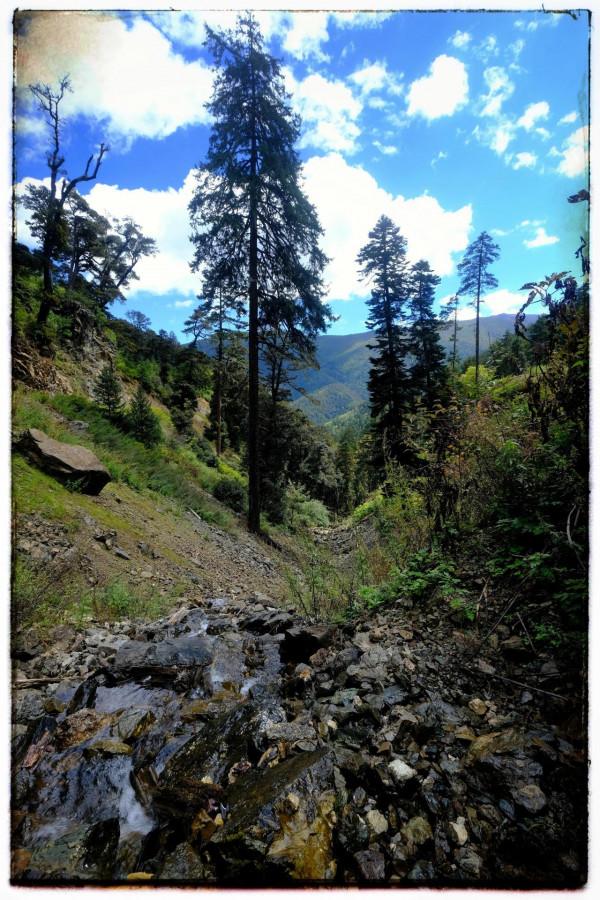 2021雲南遊-3 2021雲南遊-3