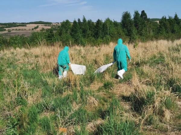 【衛生檢疫】草爬子的自述