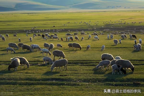 國內旅行20年，最美、最值得珍藏的還是這29個地方，你去過哪些呢