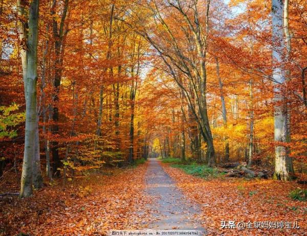 分享——美景小道