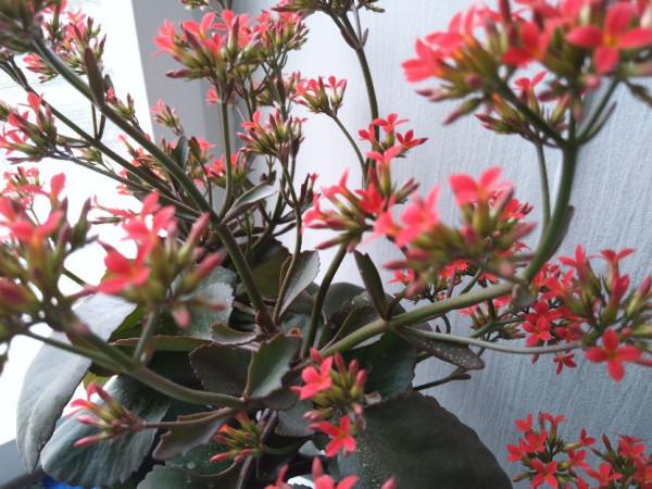 老年人在日常生活中養成良好的生活習慣，有益於身體健康