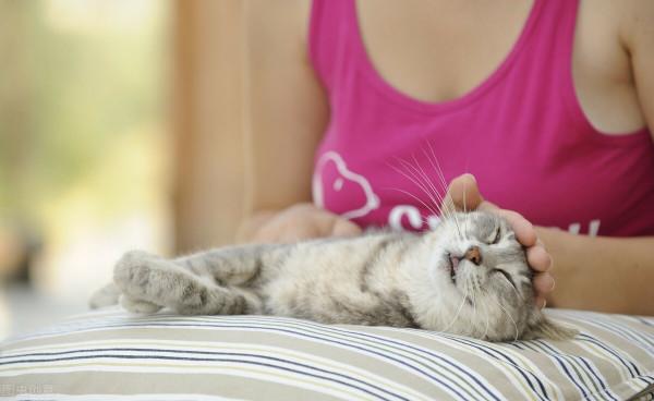 小心，這些消費正在偷偷掏空你的錢袋子