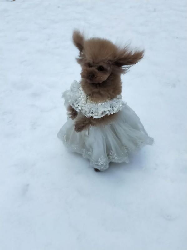 山西通天峽,賞最美冰瀑布,觀奇絕冰簾洞 山西通天峽,賞最美冰瀑布,觀奇絕冰簾洞