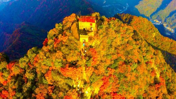 圭峰紅葉遍山,九小時歷程卻讓人驚心 圭峰紅葉遍山,九小時歷程卻讓人驚心