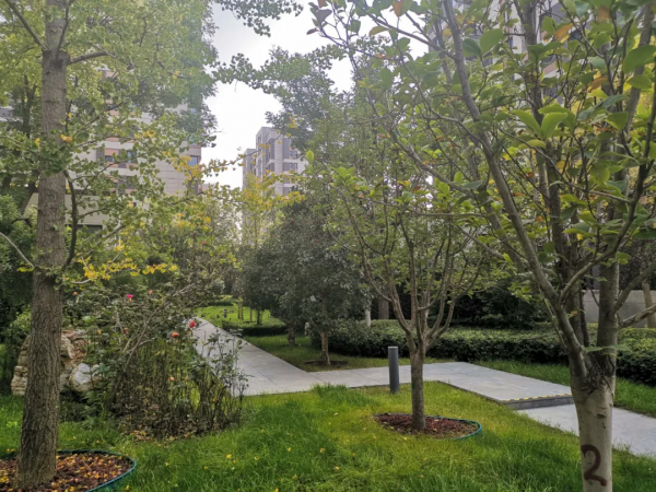 網籤均價58167元/㎡ 5年後二手房57748元/㎡ 這個地鐵盤有點尷尬 網籤均價58167元/㎡ 5年後二手房57748元/㎡ 這個地鐵盤有點尷尬