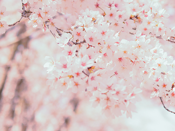 要想富，先瘦身，這就是因果關係嗎？