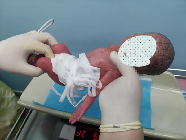 感嘆生命之頑強