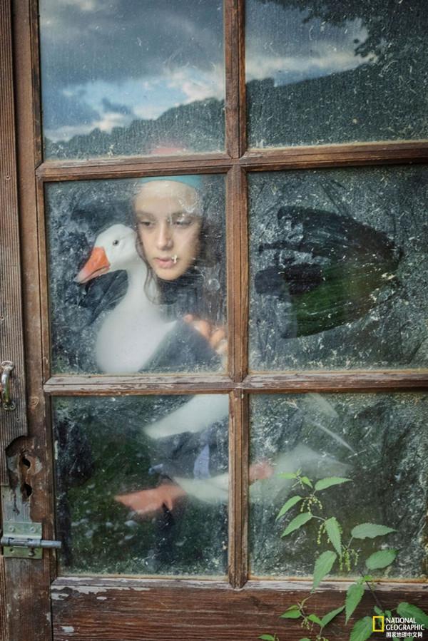 盤點2021年最佳動物照片 盤點2021年最佳動物照片