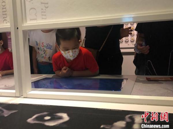 從文物到“活物”,“黑”科技如何助力博物館“炫”起來? 從文物到“活物”,“黑”科技如何助力博物館“炫”起來?