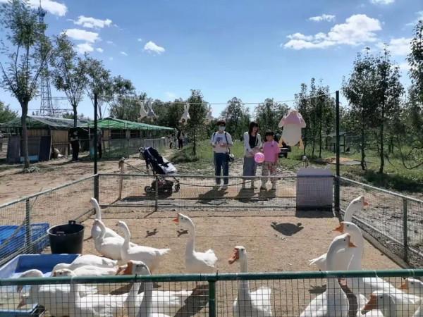 豐臺金秋文化旅遊季——綠野仙蹤郊野樂園，魔法打造的童趣世界！