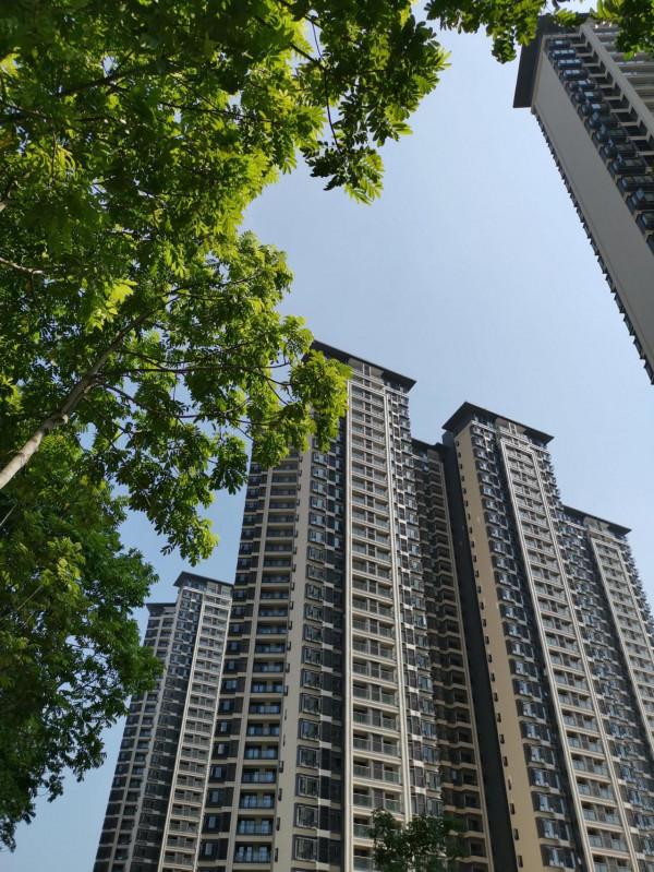 人類生命的起源探討 人類生命的起源探討