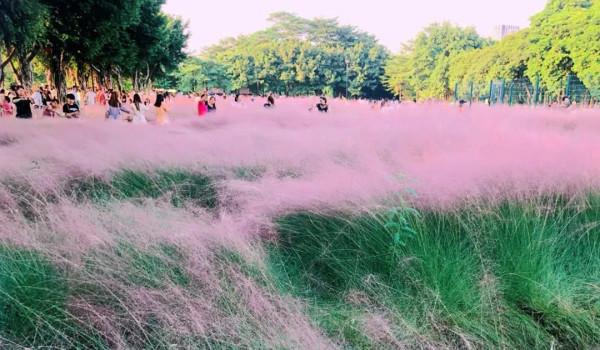 廣東絕美的秋色,都藏在了這4個小眾景點裡 廣東絕美的秋色,都藏在了這4個小眾景點裡