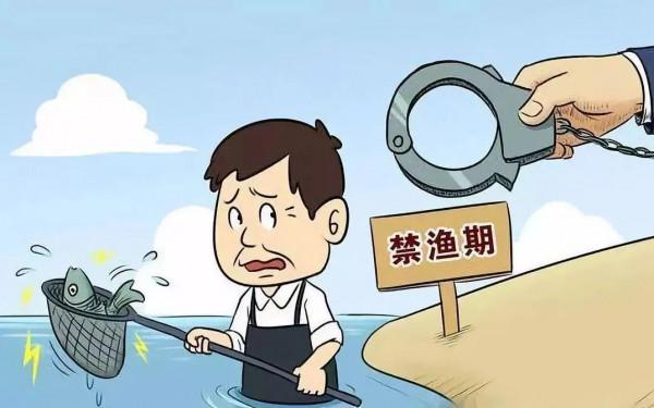 長江禁漁十年後，裡面的魚最大能長多大？期間漁民該如何謀生？