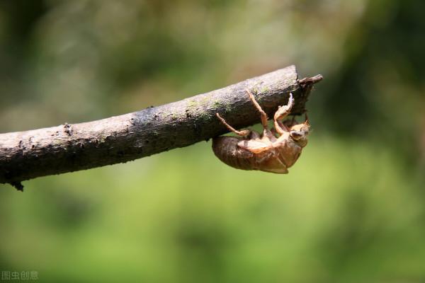 有關黑龍江省的二十二個冷知識，你知道多少個？