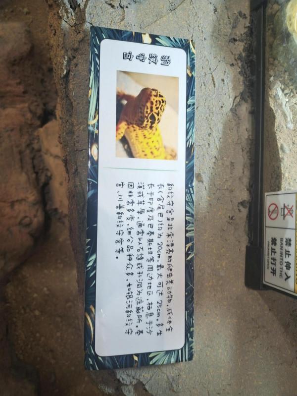 內蒙古科技館一日遊