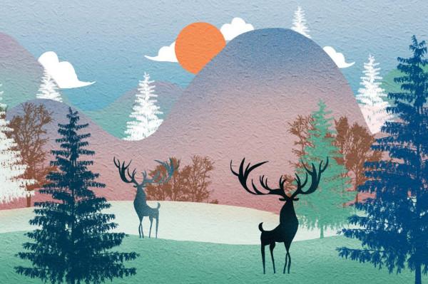 其實,人的運氣好壞,皆是因果 其實,人的運氣好壞,皆是因果