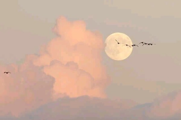 《月亮與六便士》摘抄 《月亮與六便士》摘抄