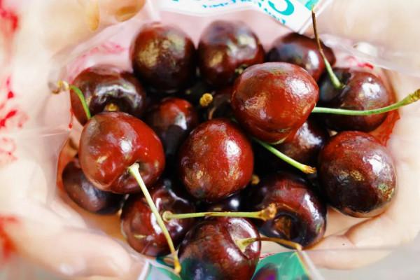 在這裡我毫不焦慮，還實現了水果自由