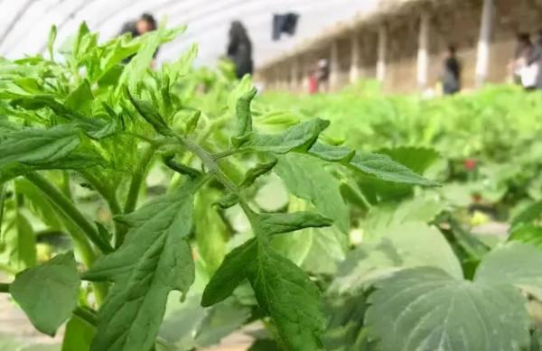 跟著這條自駕線路，邂逅秋天秘境～