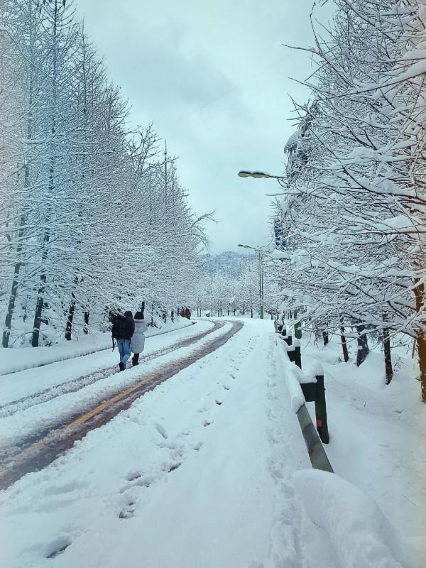 從A到Z，總有一個理由讓你愛上江津！