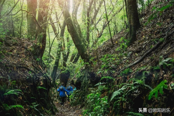 最高海撥5130米，七十二道拐等你挑戰，這條險峻的線路，虐嗎？