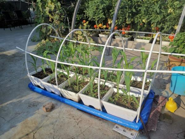 新式移動淺池,讓二培更加方便 新式移動淺池,讓二培更加方便