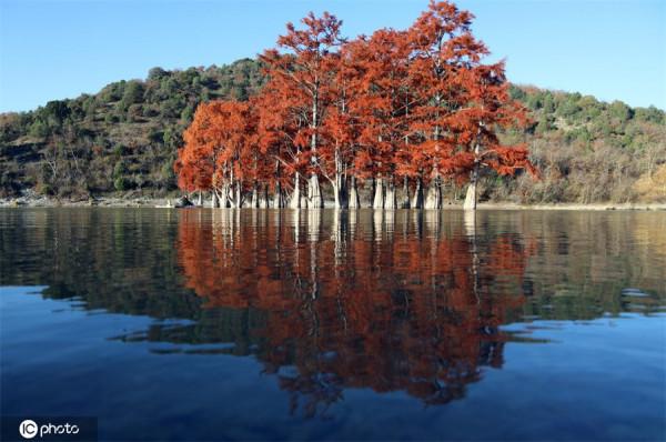 俄羅斯蘇科湖秋意正濃 俄羅斯蘇科湖秋意正濃