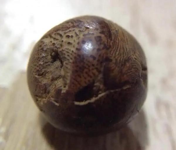 沉水扭絲紅土沉香節珠