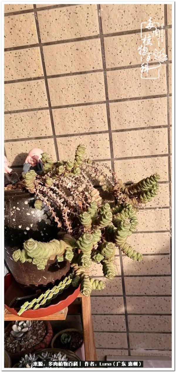 學會和解:與自己、與他人、與世界 學會和解:與自己、與他人、與世界