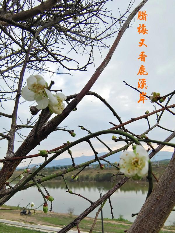 朋友圈2021年第31期