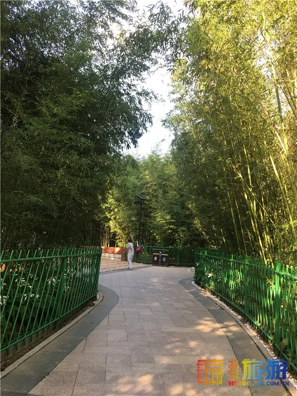 免費!這幾個公園風景如畫,還有竹林、大草坪~ 免費!這幾個公園風景如畫,還有竹林、大草坪~