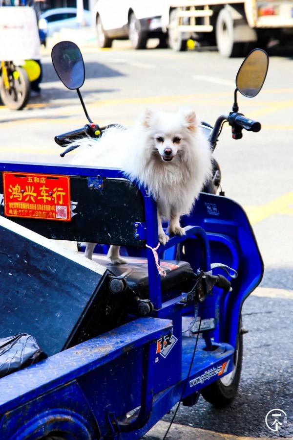 測評深圳“華為村”,還有年薪30萬的華為人麼? 測評深圳“華為村”,還有年薪30萬的華為人麼?