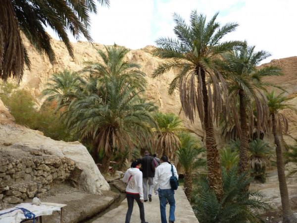 「突尼西亞2014」託澤尓（一）&mdash;&mdash;沙漠中的綠寶石