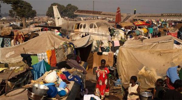 非洲人食不果腹總是埋怨土地，看看中國維和士兵種的菜：真打臉