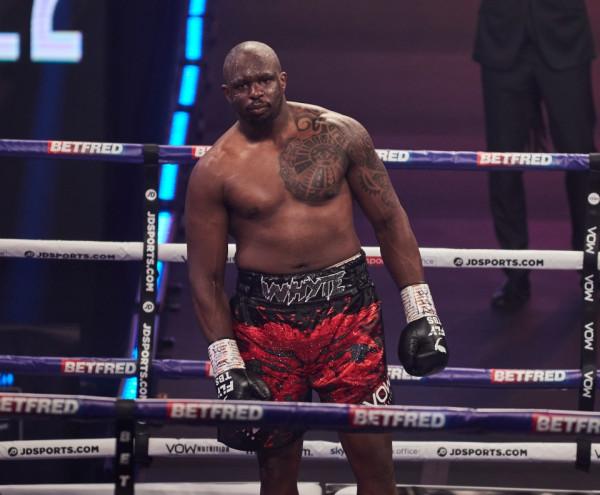 泰森懸了？拳擊大佬：剋星已經迴歸，泰森金腰帶保不住了