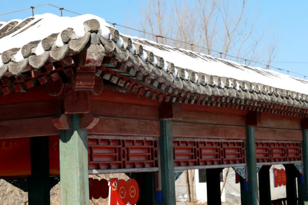 快來看，蘇家坨鎮的雪景美出了圈！