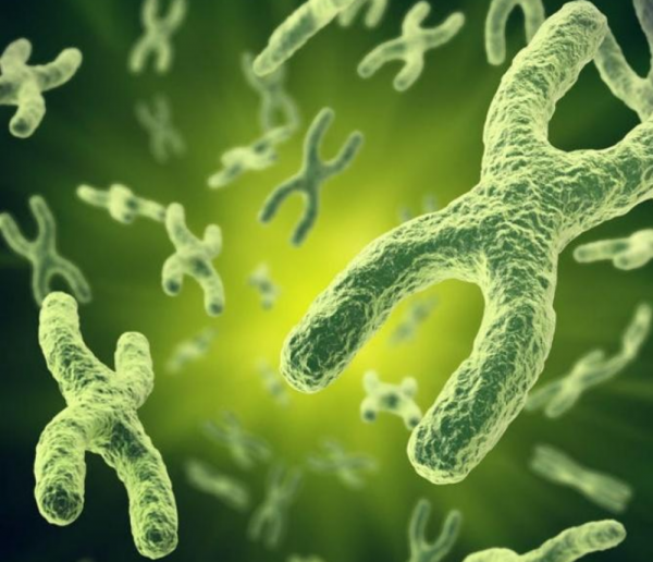 地球上本來沒有人,人類從何而來?第一個誕生的人是男人還是女人 地球上本來沒有人,人類從何而來?第一個誕生的人是男人還是女人