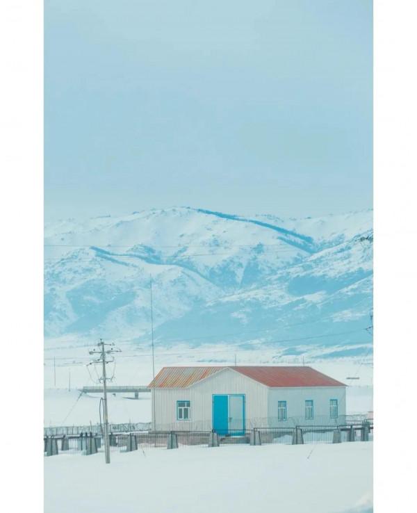 智者不入愛河，鐵鍋燉只大鵝