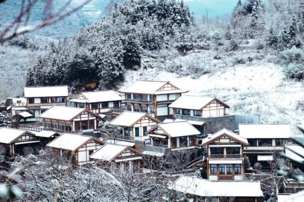 春雪紛飛染冬色 黔地皚皚似北國