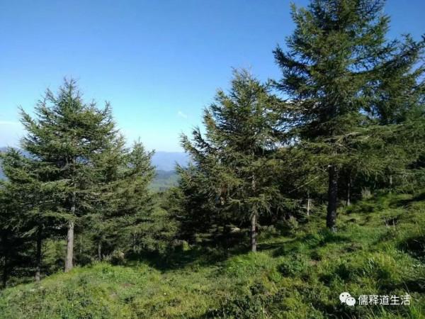 五臺山遊記(四)