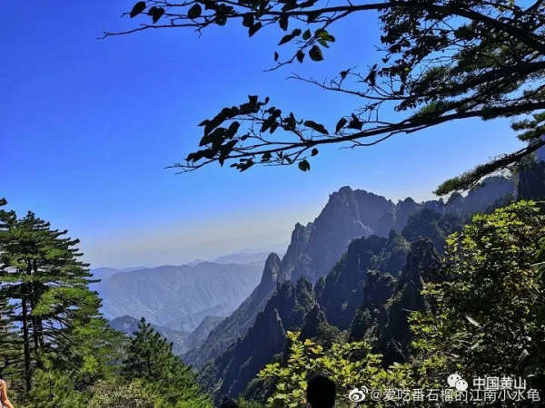 “十一”樂黃山 || 贊!遊客眼裡的國慶黃山,是這樣的 “十一”樂黃山 || 贊!遊客眼裡的國慶黃山,是這樣的